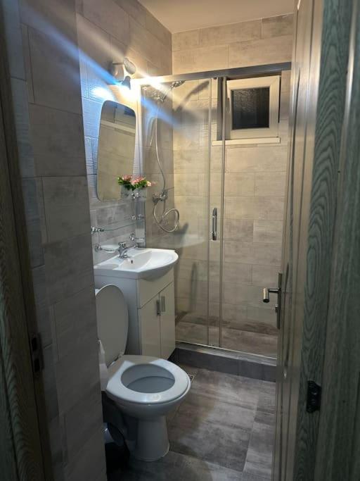 Apartament La Flo Hunedoara Bagian luar foto