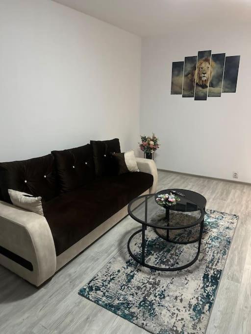 Apartament La Flo Hunedoara Bagian luar foto