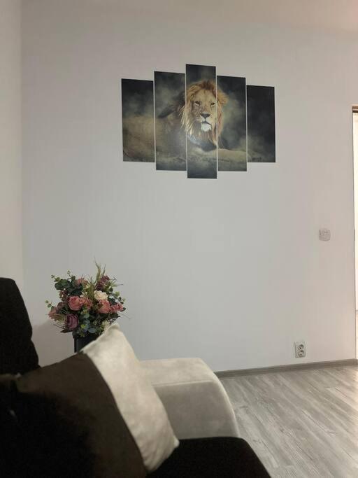 Apartament La Flo Hunedoara Bagian luar foto