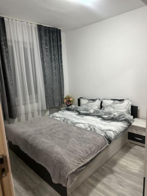 Apartament La Flo Hunedoara Bagian luar foto